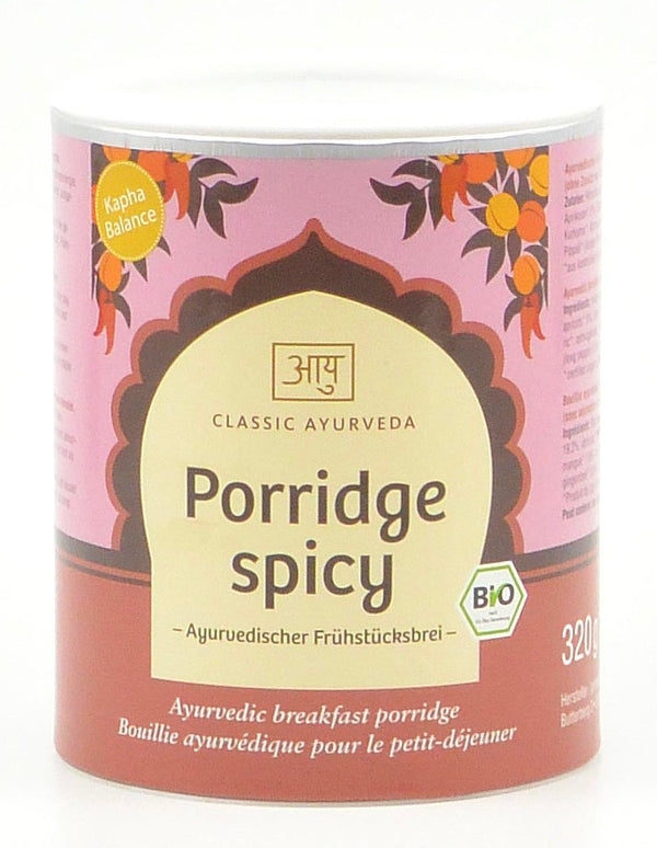Porridge spicy Bio 320g